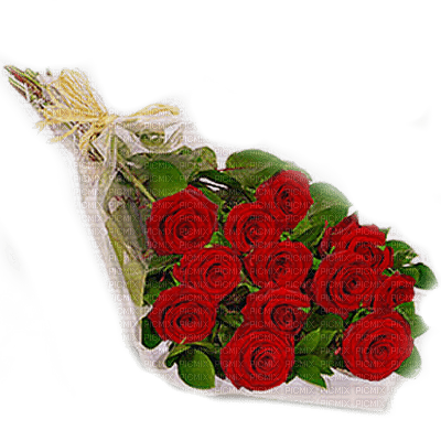 rose rosse - png gratis