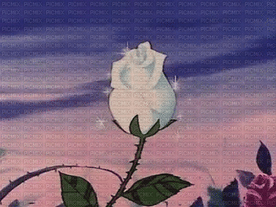 Flowers white bp - Безплатен анимиран GIF