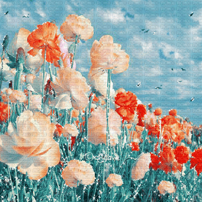 soave background animated field flowers - GIF animado grátis