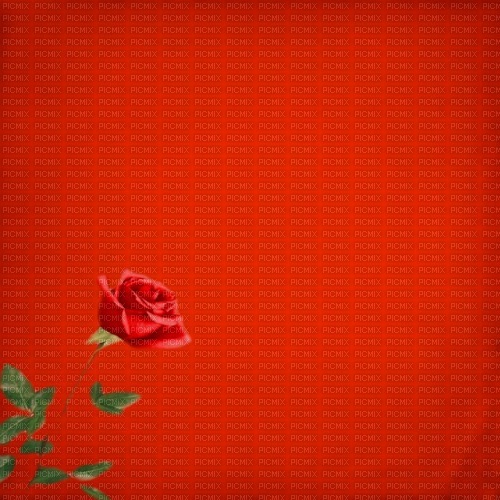 red background - безплатен png