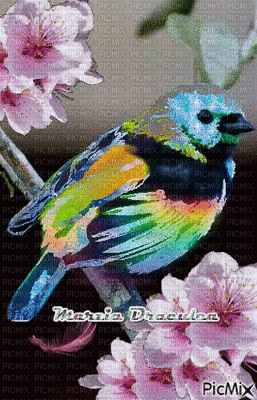 Marzia Draculea - Besplatni animirani GIF