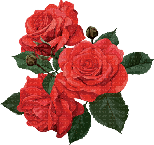 roses  Bb2 - besplatni png