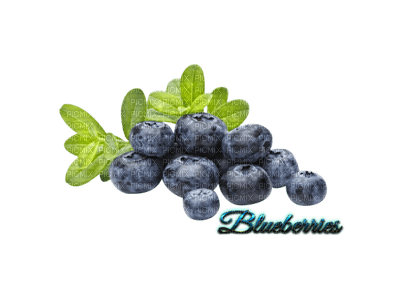 blueberries bp - png grátis
