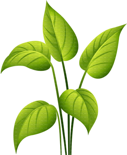 plant - besplatni png