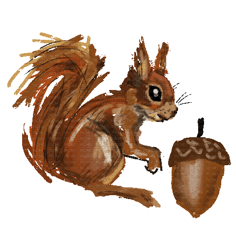 Squirrel - Бесплатный анимированный гифка