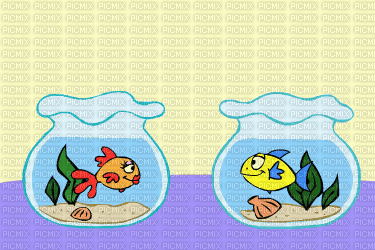 peixe - GIF animate gratis