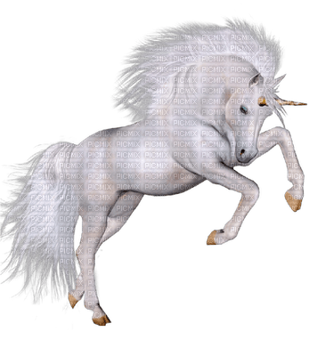 Pegasus-fantasy -Nitsa P - png gratis