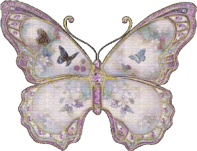 papillon mauve - GIF animado grátis