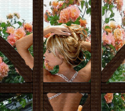 Window Nitsa - Δωρεάν κινούμενο GIF