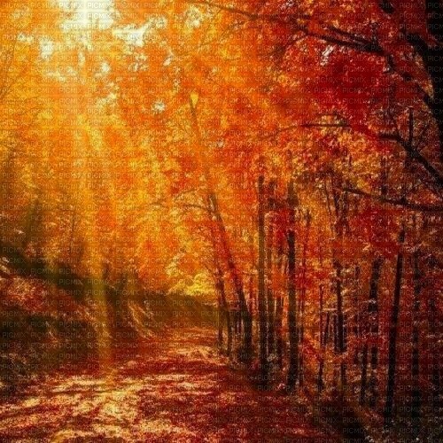 autumn background - kostenlos png