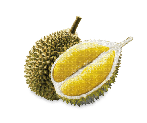 Durian Fruit - 免费PNG