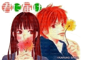 Sawako and kazehaya ❤️ elizamio - besplatni png