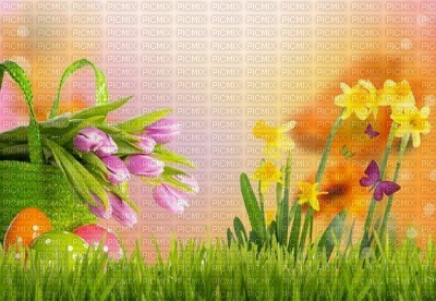 Easter - Nitsa 9 - besplatni png