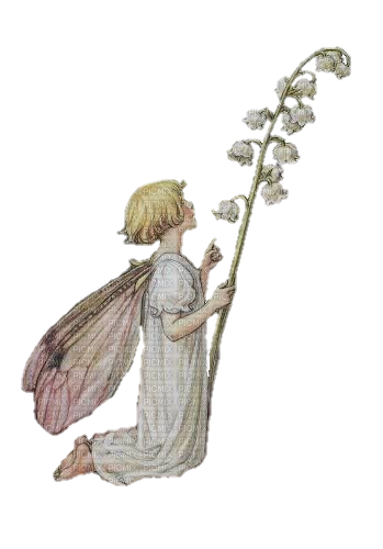 Flower Fairy - Free PNG