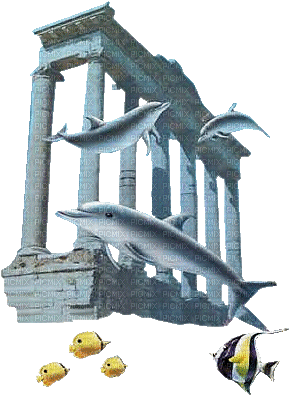 dolphin delphin dauphin - Безплатен анимиран GIF