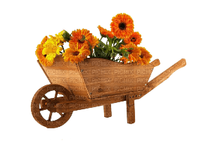 Carretillo de flores - besplatni png