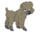 Petz Tan Poodle - 無料のアニメーション GIF