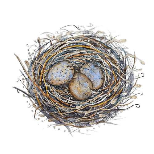 nest - PNG gratuit
