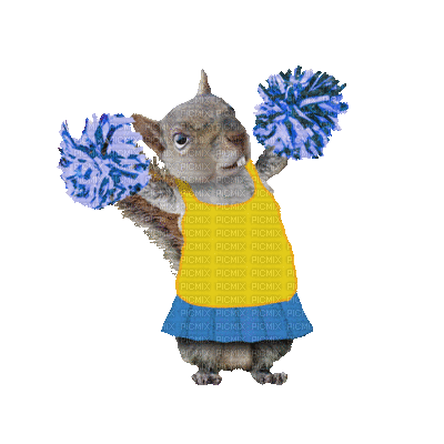 Animated Squirrel écureuil Cheerleader Majorette - GIF animé gratuit