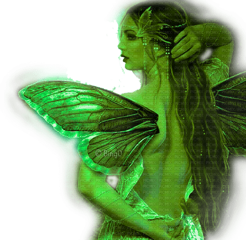 Y.A.M._Fantasy fairy green - nemokama png