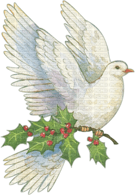 Christmas birds bp - ingyenes png