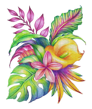 exotic flowers multicolor - GIF animé gratuit