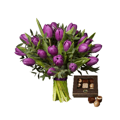 easter flowers-tulips-purple - Free PNG