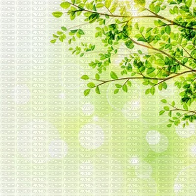 bg-tree-green - PNG gratuit