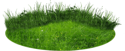 grass bp - ücretsiz png