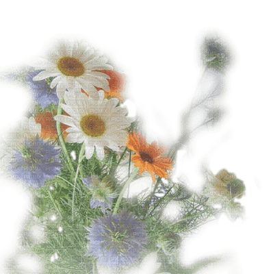 bouquet de fleur.Cheyenne63 - Free PNG
