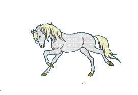 cheval - Nemokamas animacinis gif