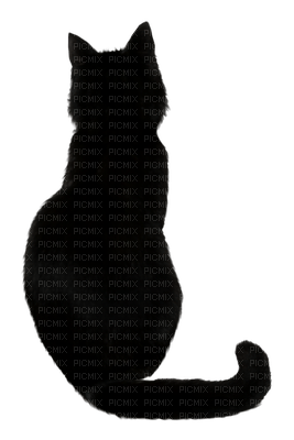 Black cat 💖 - gratis png
