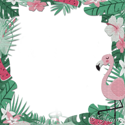 soave frame summer flowers tropical bird leaves - png gratuito