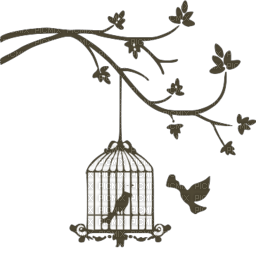 bird cage anastasia - zadarmo png