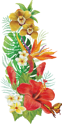 soave deco summer animated branch tropical flowers - Бесплатный анимированный гифка