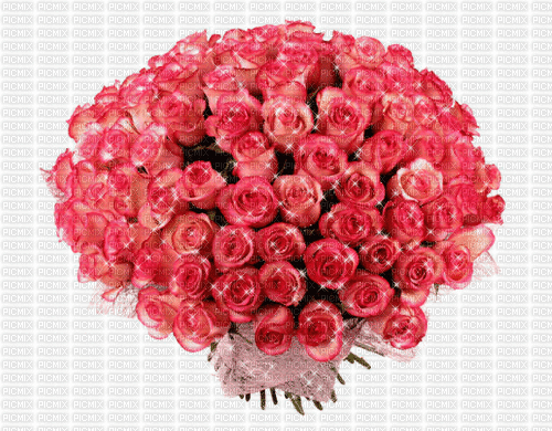 MMarcia gif  flowers flores buque - Gratis animeret GIF