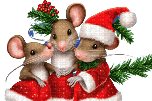 Mouse Christmas - Bogusia - besplatni png