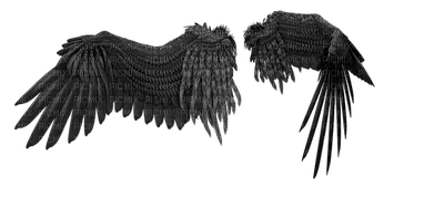 wings, siivet - Free PNG