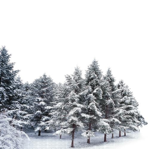 winter trees Bb2 - 免费PNG