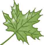 feuille - Free PNG