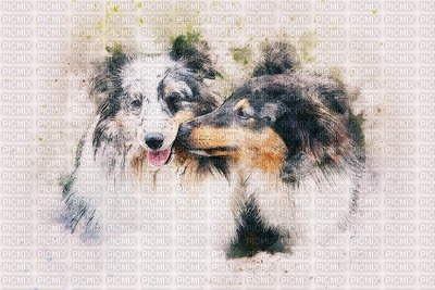 MMarcia aquarela cão fundo - png ฟรี