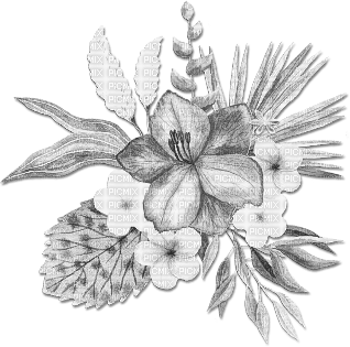 soave deco flowers summer tropical branch black - Free PNG