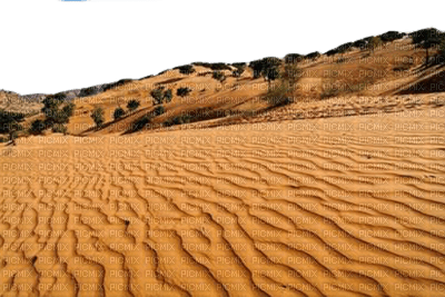 desert landscape bp - Free PNG