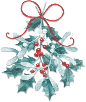 soave deco winter christmas  branch holly - darmowe png