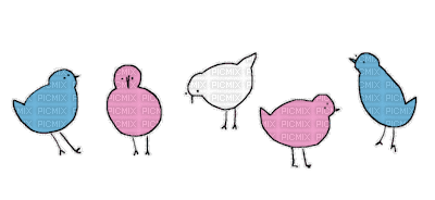 trans birds lol - Gratis animeret GIF