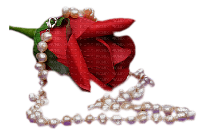 roses/pearls bp - Free PNG
