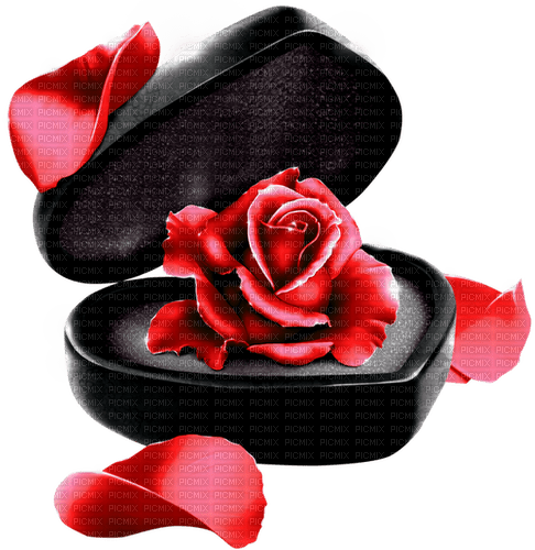Rose.Petals.Box.Black.Red - darmowe png
