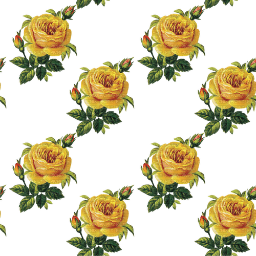 tileable yellow rose bg - png gratis