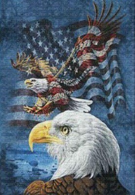 eagle w/ flag - gratis png