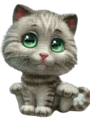 cat,chat, chatte - zdarma png
